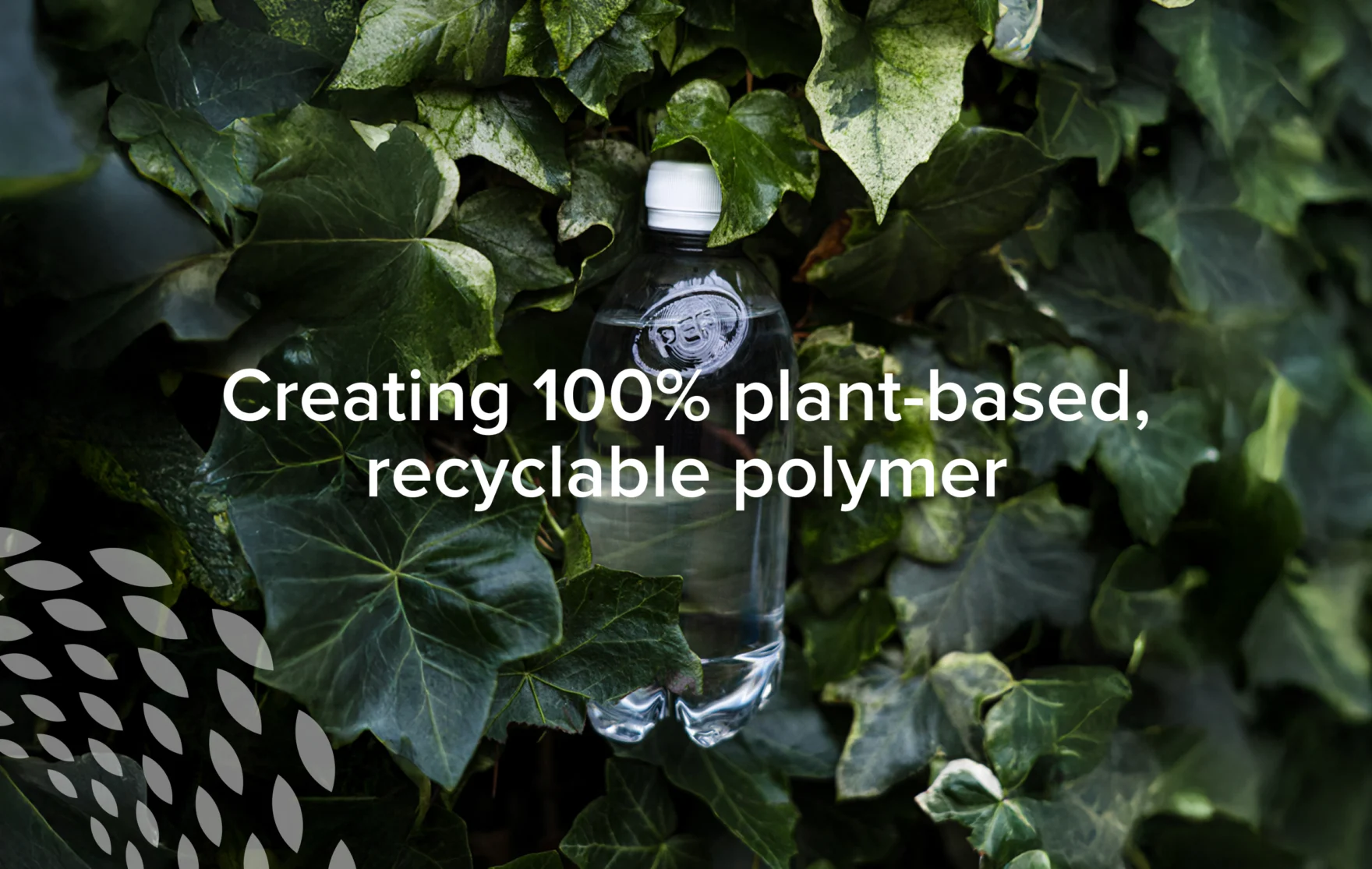 Plant-based PEF bottle nestled among ivy leaves on the Avantium website