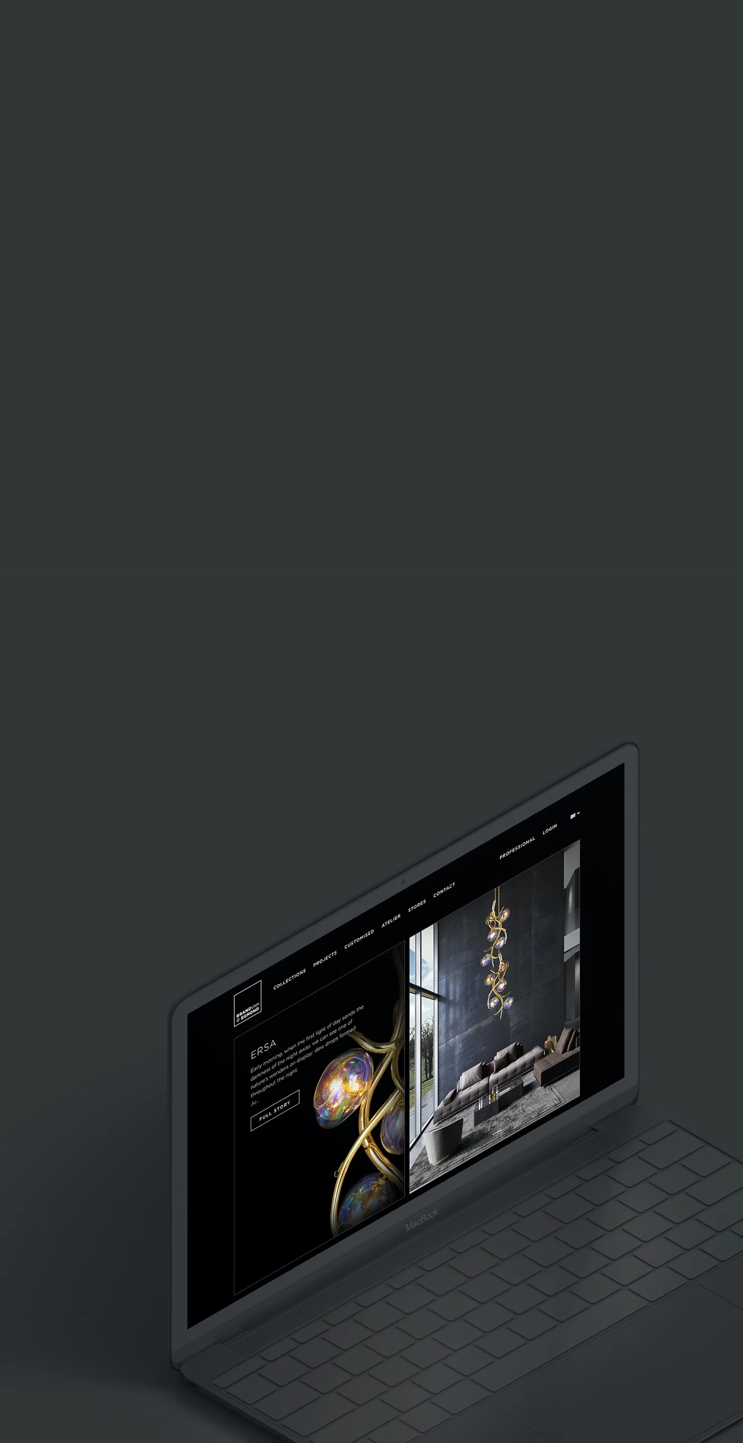Brand van Egmond homepage design on a laptop, cropped for a narrow mobile header