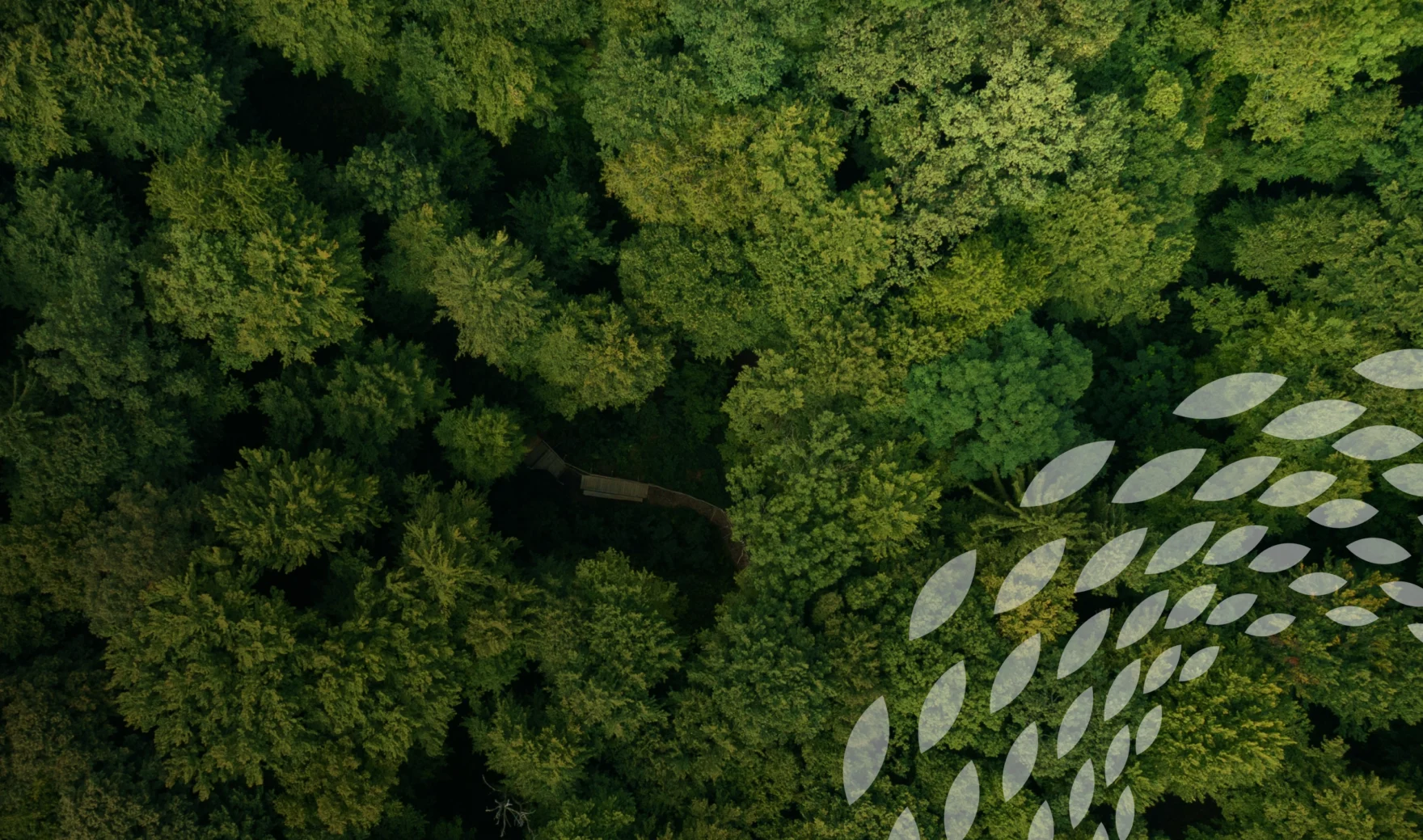 Aerial forest view with Avantium's leaf pattern overlay on case header
