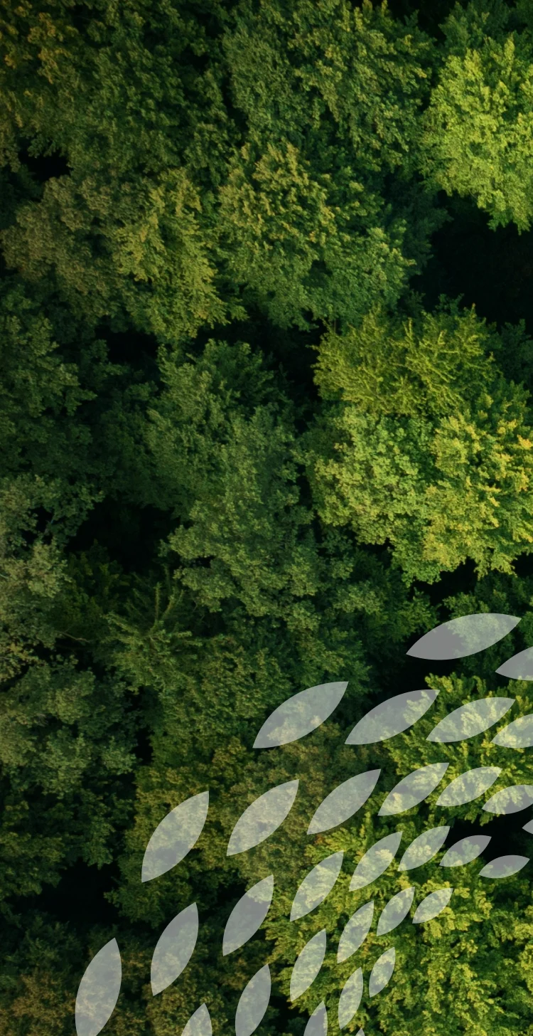 Aerial forest photo with Avantium's leaf icon pattern, mobile header